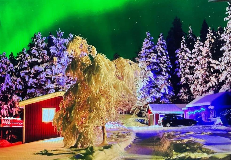 Lakeside Wilderness Cabin Jokkmokk Dış mekan fotoğraf