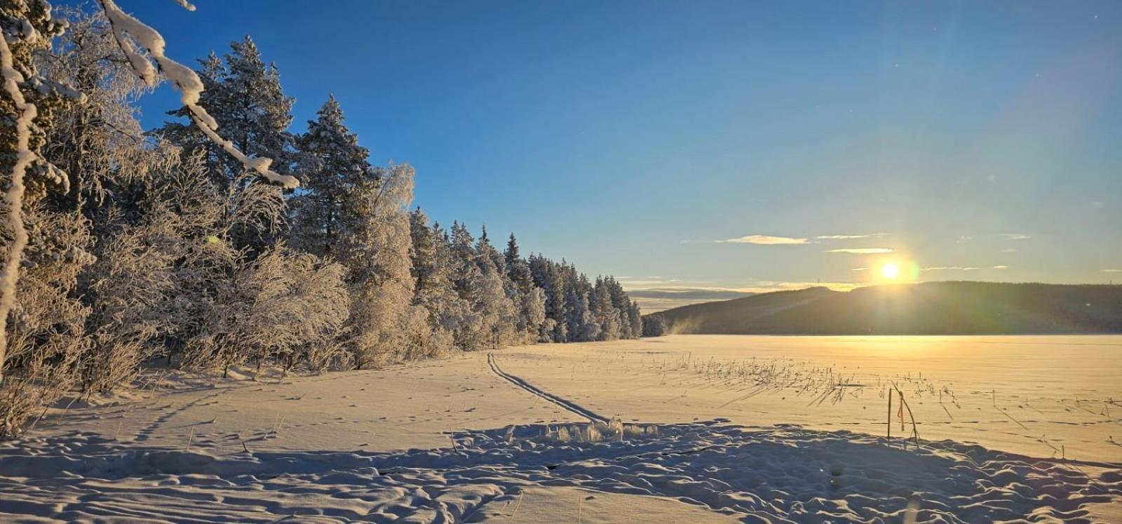 Lakeside Wilderness Cabin Jokkmokk Dış mekan fotoğraf