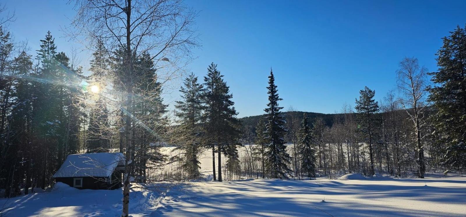 Lakeside Wilderness Cabin Jokkmokk Dış mekan fotoğraf