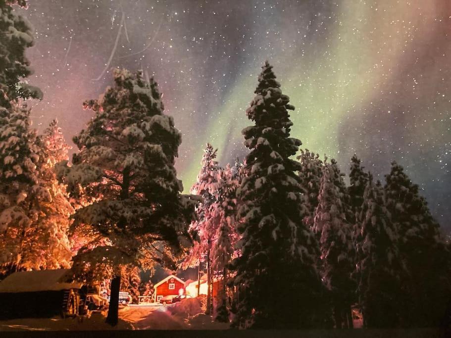 Lakeside Wilderness Cabin Jokkmokk Dış mekan fotoğraf