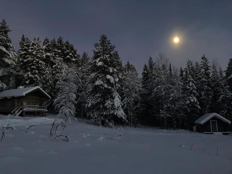 Lakeside Wilderness Cabin Jokkmokk Dış mekan fotoğraf