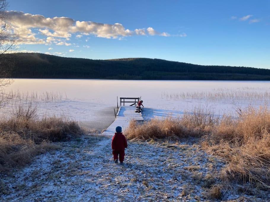 Lakeside Wilderness Cabin Jokkmokk Dış mekan fotoğraf