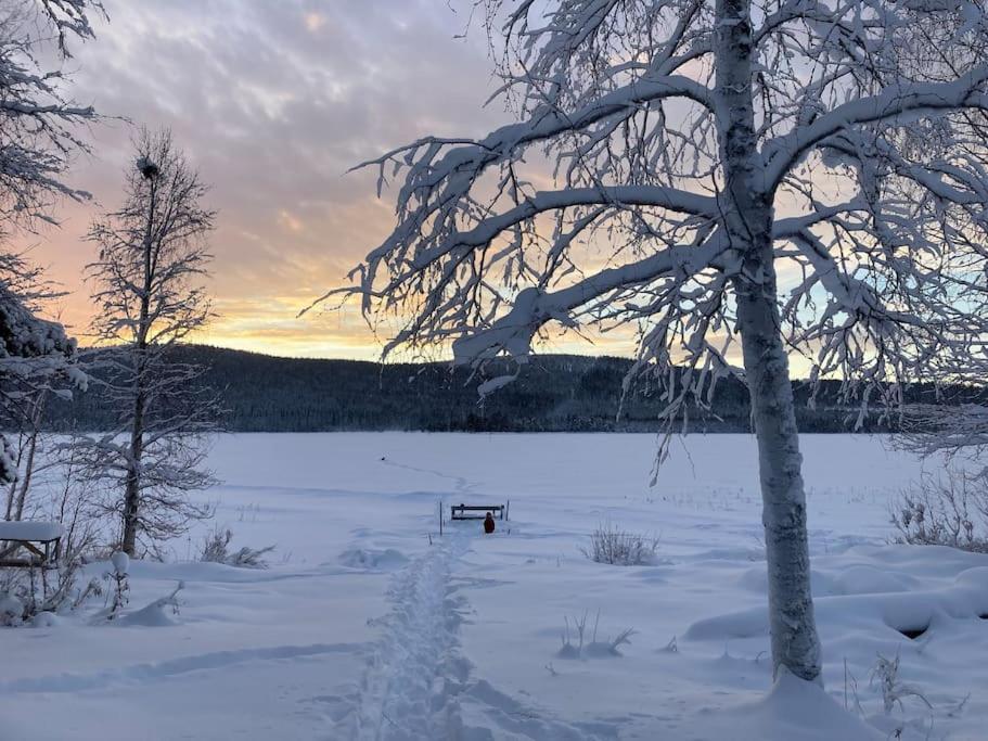 Lakeside Wilderness Cabin Jokkmokk Dış mekan fotoğraf
