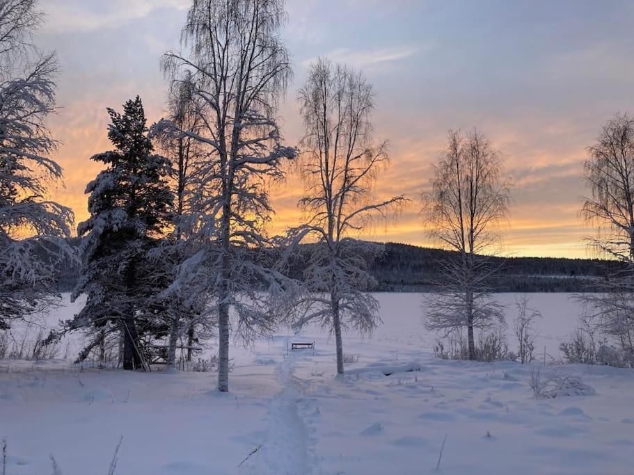 Lakeside Wilderness Cabin Jokkmokk Dış mekan fotoğraf