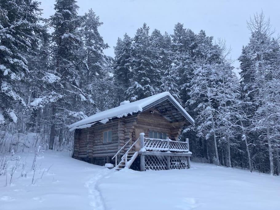 Lakeside Wilderness Cabin Jokkmokk Dış mekan fotoğraf