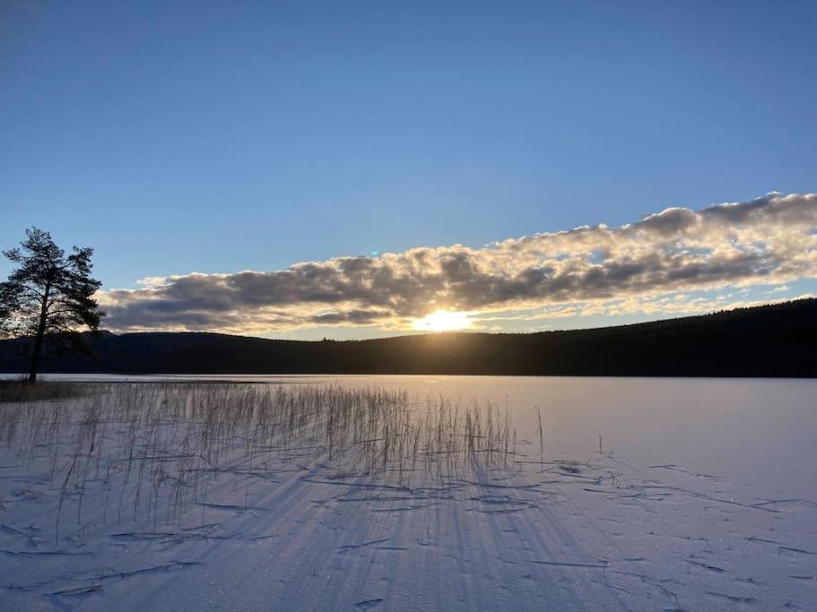 Lakeside Wilderness Cabin Jokkmokk Dış mekan fotoğraf