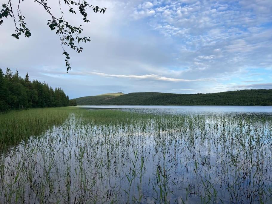 Lakeside Wilderness Cabin Jokkmokk Dış mekan fotoğraf