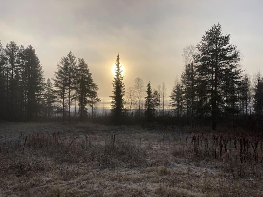 Lakeside Wilderness Cabin Jokkmokk Dış mekan fotoğraf