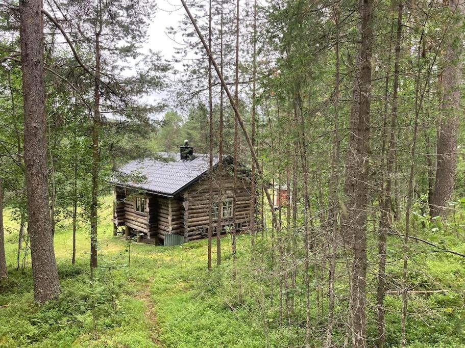 Lakeside Wilderness Cabin Jokkmokk Dış mekan fotoğraf